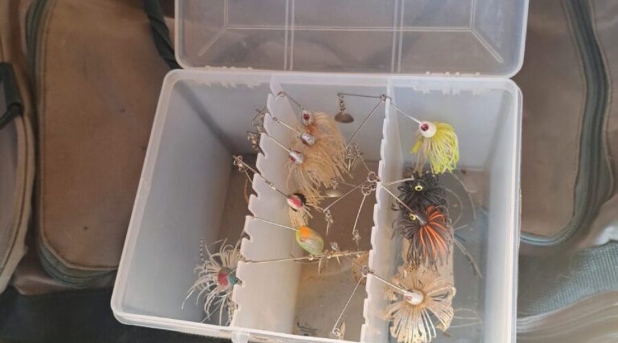 Fishing Lures