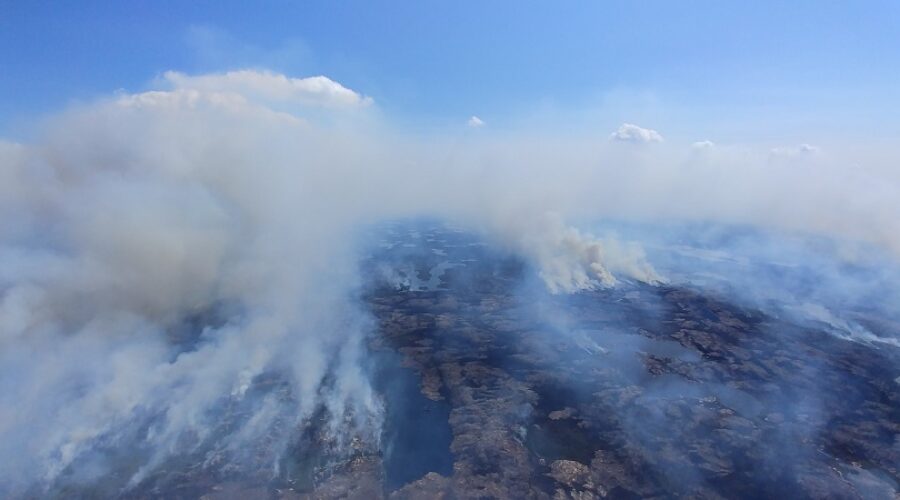 Slower forest fire season welcome after last year