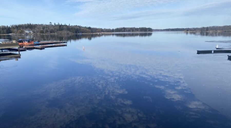LOTW water levels steadily declining