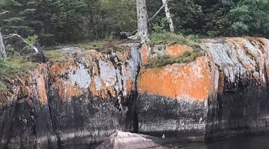 Lake of the Woods dropped 9 cm last week