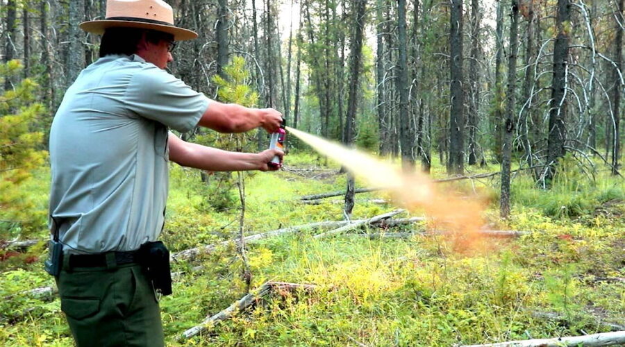 3 Dryden residents sprayed with bear spray, 29-year-old charged