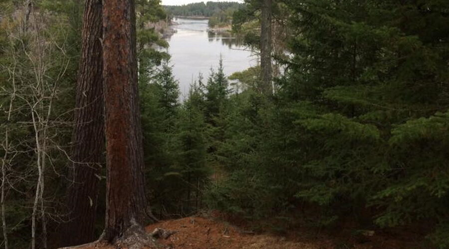 Tunnel Island Trail reopens after washout