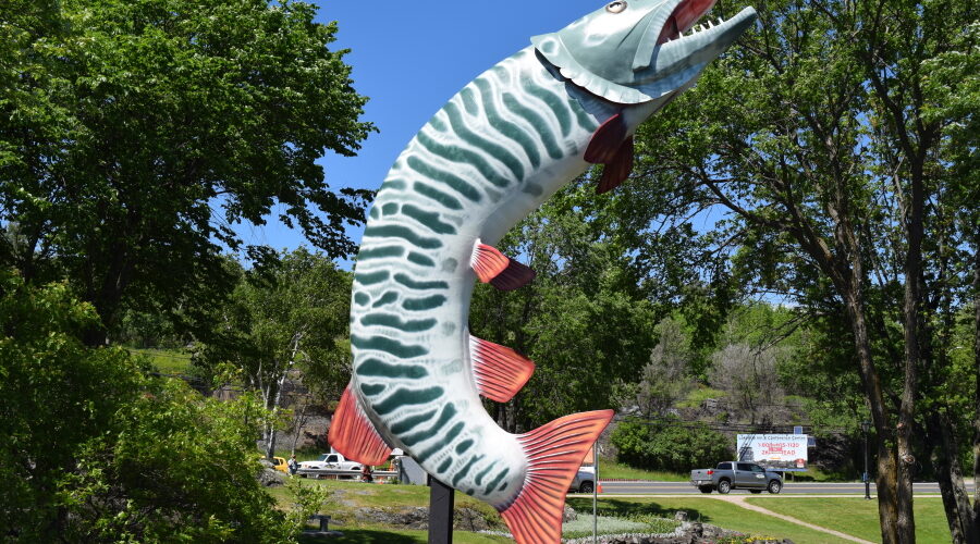 Today’s the last day to vote for Husky the Muskie!