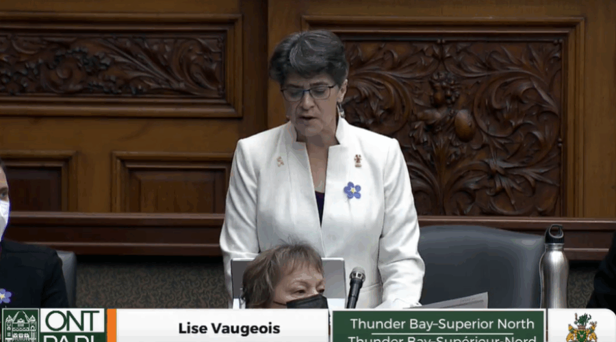 Vaugeois sets priorities for fall session