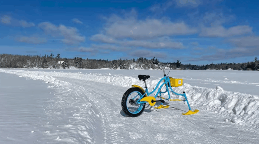 NWO Pitch It winners announced