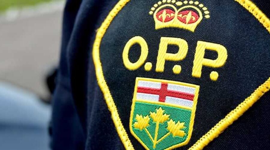 OPP Easter seatbelt campaign numbers released