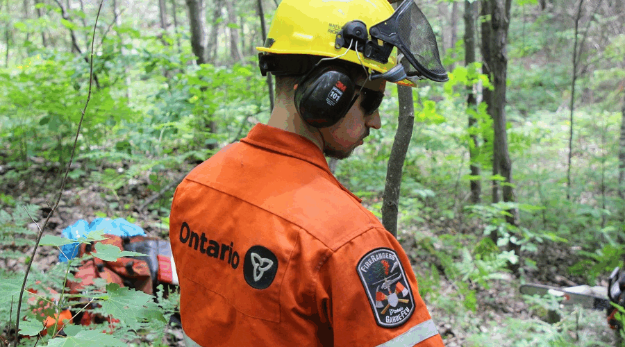 Forest fire season ends