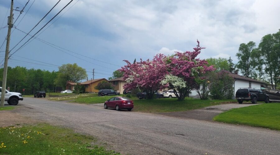 City looking at STR bylaw