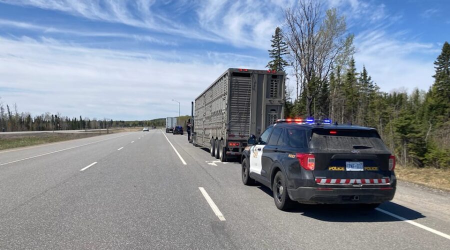Weekend traffic blitz numbers a concern: OPP
