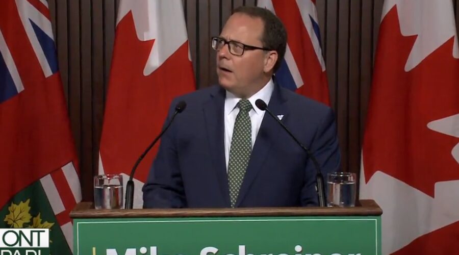 Green Party seeks public inquiry
