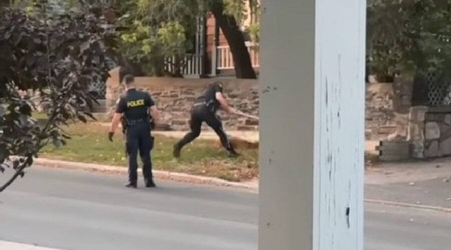 Deer killing sparks investigation