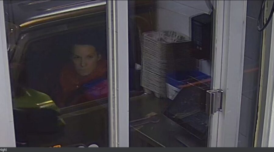 Identity of ATV theft suspect sought