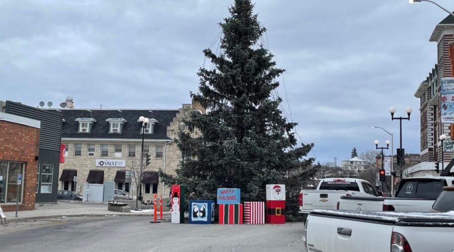 Main Street Christmas Tree to be lit up tonight