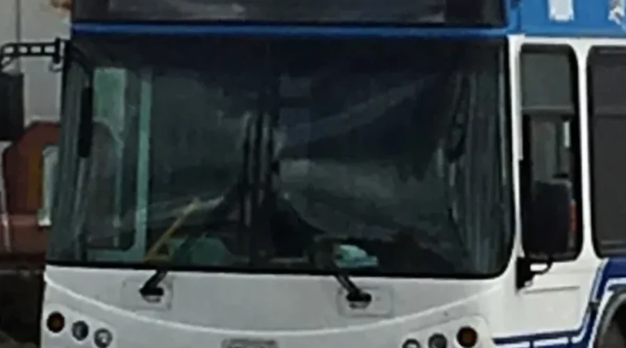 Kenora’s transit service cancelled again