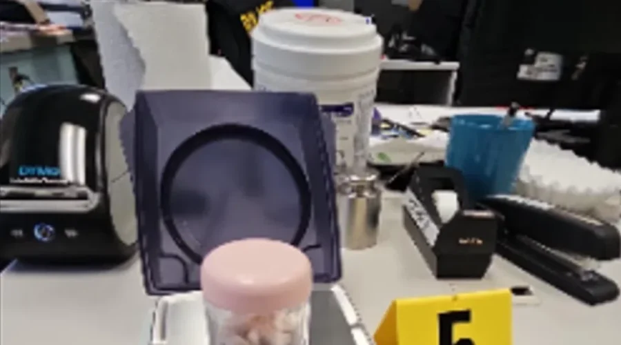 Wanted woman arrested in Kenora