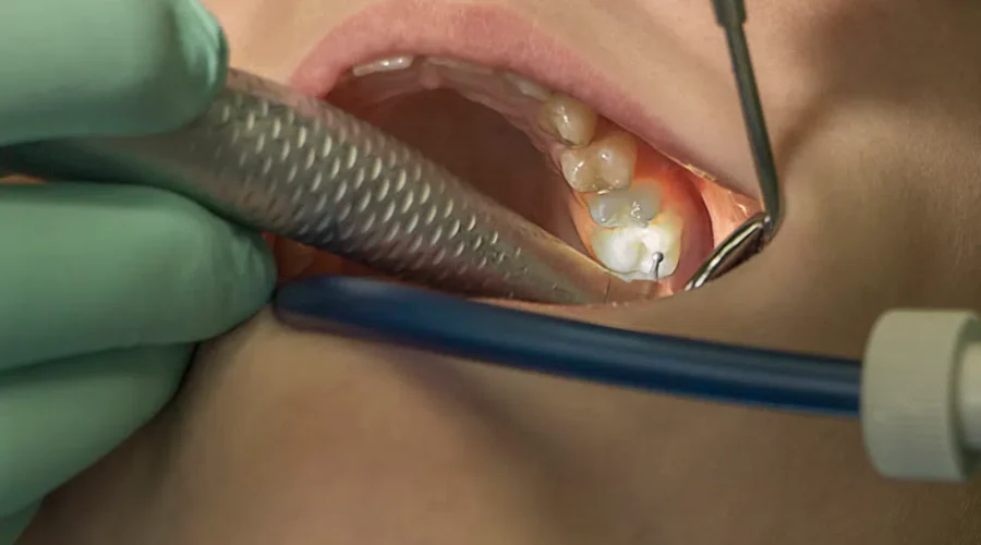 Dentists seek provincial support