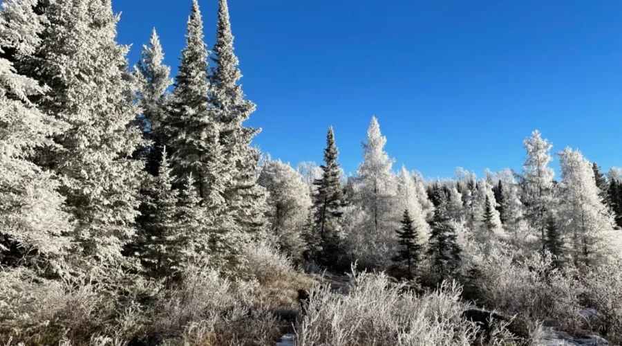 December a lot warmer and drier than usual