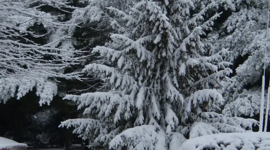 Spring snowstorm could dump up to 50cm in parts of northern Ontario