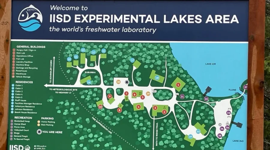 Researchers say microplastics found at the ELA