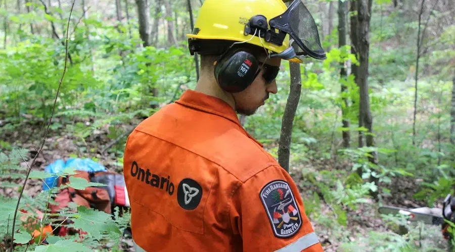 Union says region still short on forest firefighters