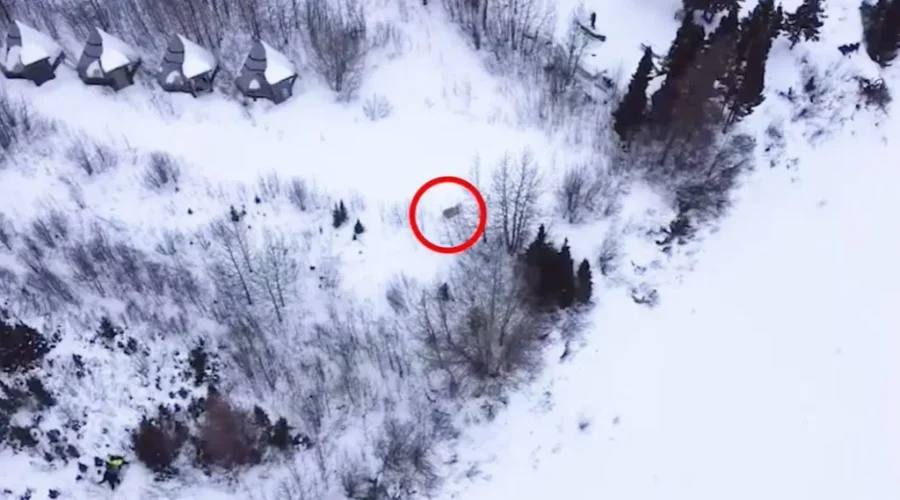 Polar bear killed after stalking school in northern Ontario