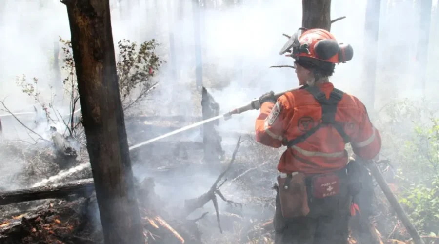 2 new forest fires pop up in the region