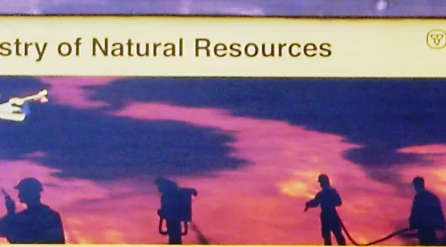 One active forest fire in the region