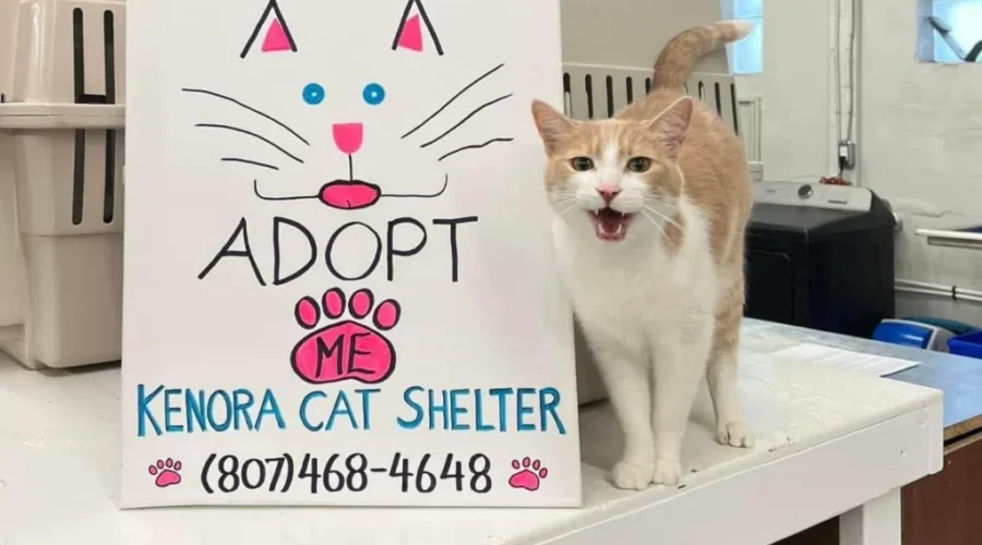 Cutest Road Trip Partners EVER!