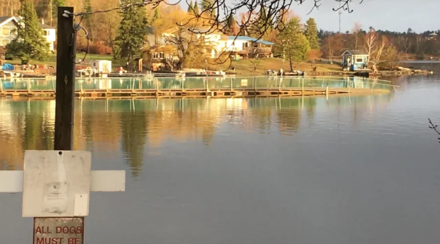 Coney seasonal water service resumes