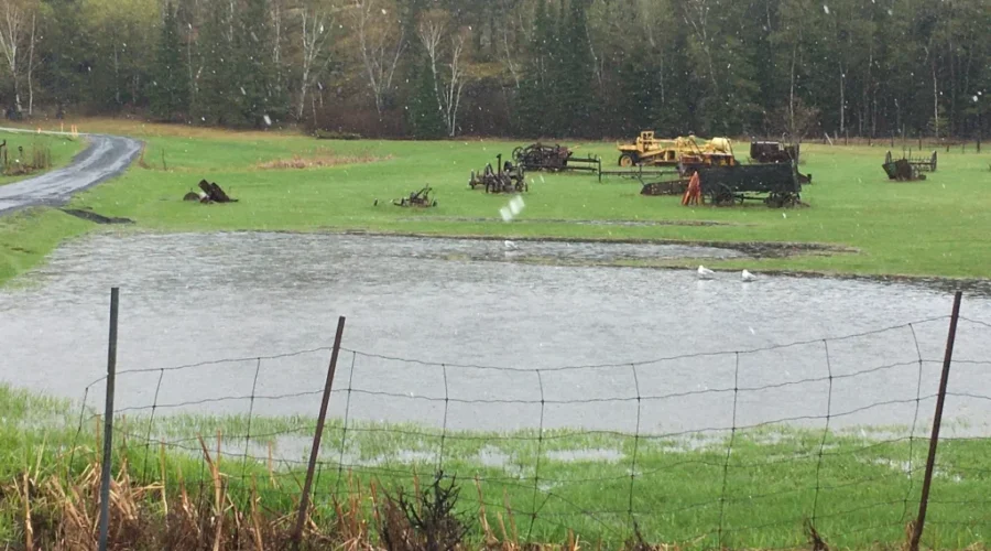 Rainier than usual during the month of May