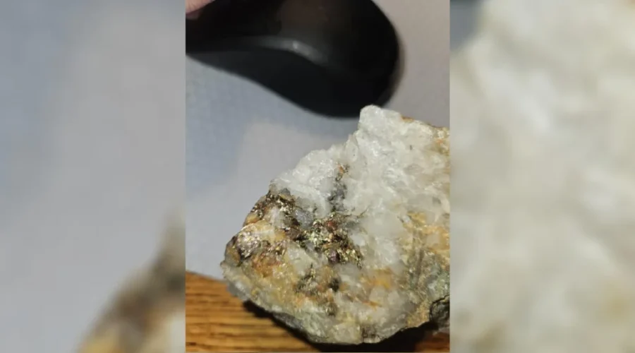 High-grade gold identified near Nestor Falls