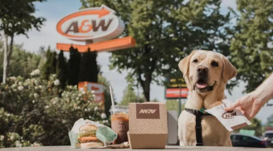 Get Your Dog A “Pup Patty” at A&W For A Good Cause