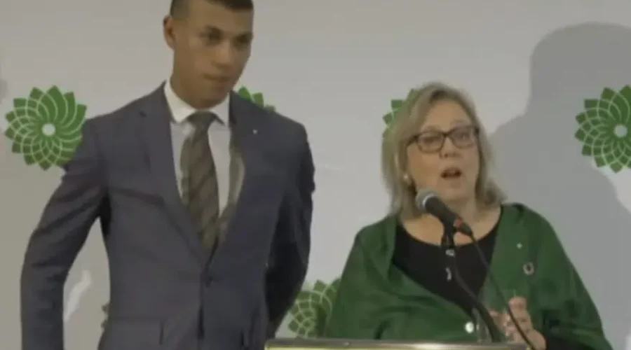 Green’s co-leader steps down