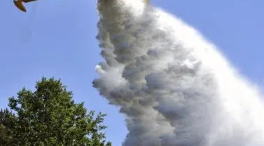 5 new forest fires Sunday in the northwest region