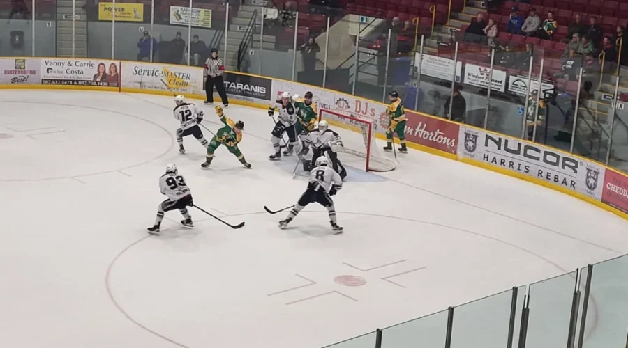 Dryden GM Ice Dogs unveiling new team branding