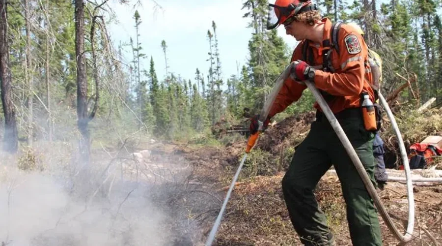 Busy long weekend for forest fires