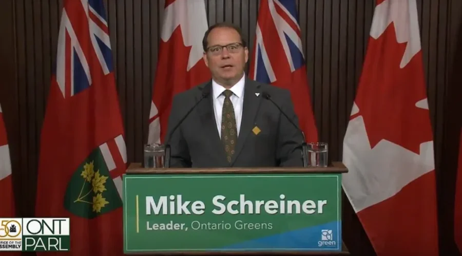 Schreiner seeks early return to Queen’s Park