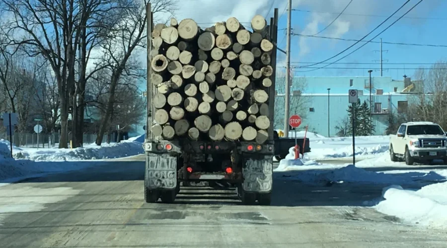 Area MPP not surprising by report into truck licensing practices