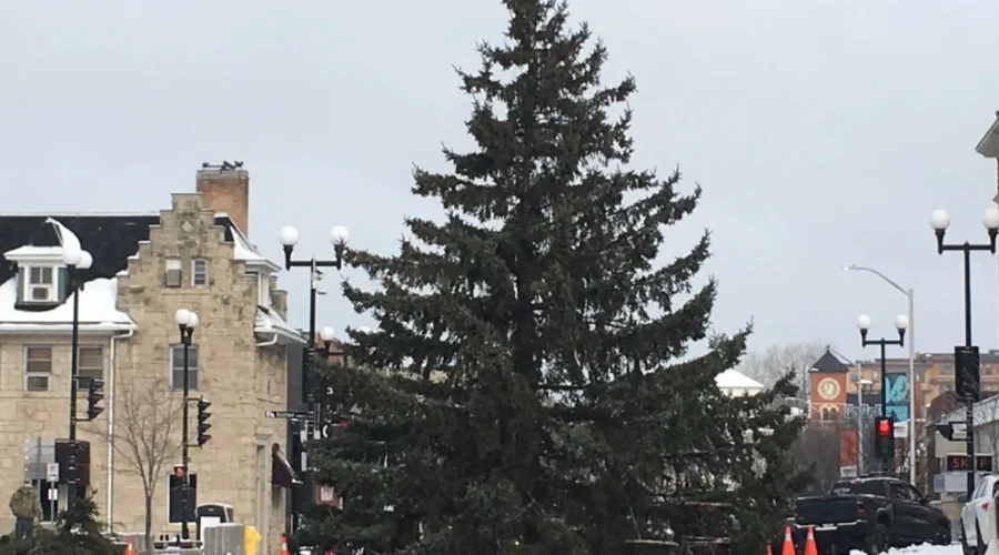 Main Street Christmas Tree scheduled to be installed this week