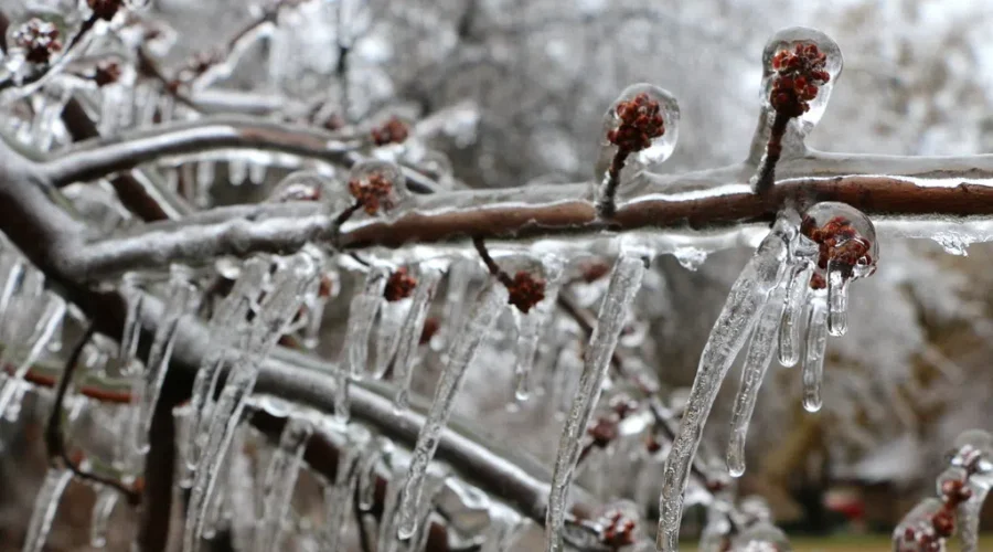 Freezing rain for Dryden and Thunder Bay