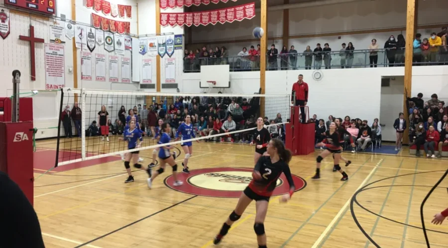 Saints and Eagles win in winter court sports