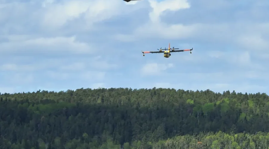 Progress made on large forest fires