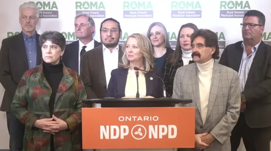 NDP pans need for early election
