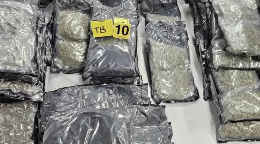 Dryden OPP find drugs in stolen truck