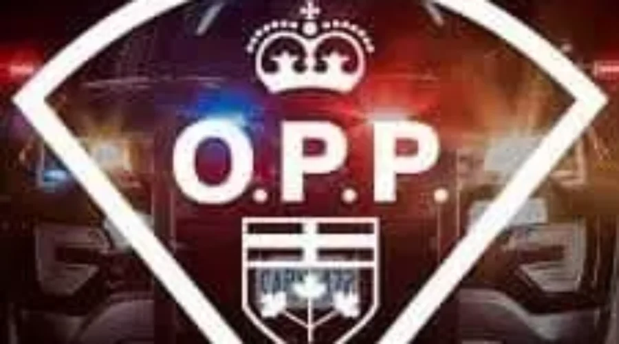 Kenora OPP charge woman with assault