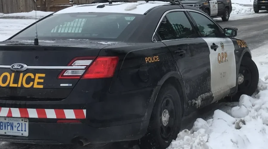 Man arrested after thefts from vehicles in Kenora