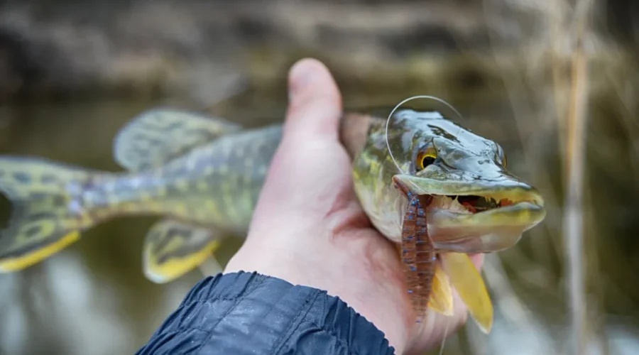 China’s tariffs come into effect Thursday