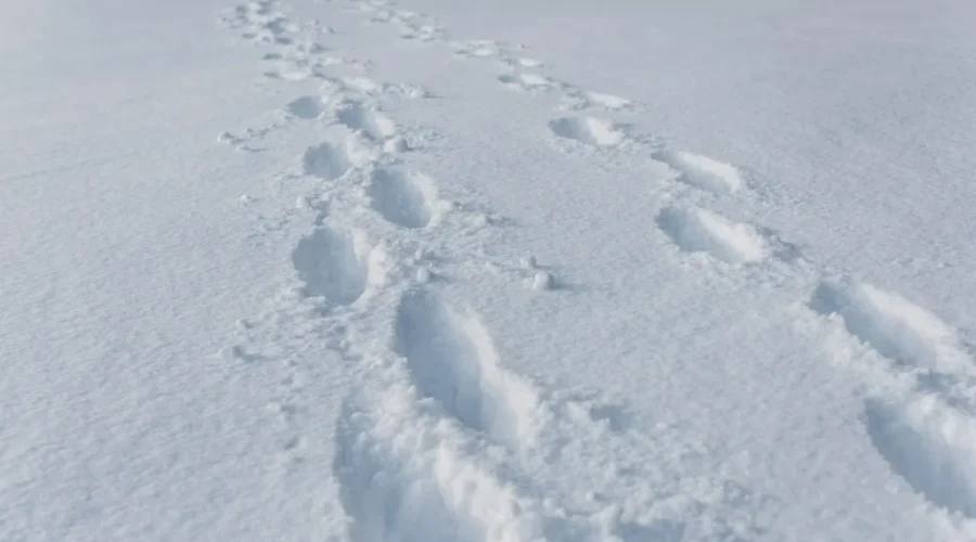 Winter storm warnings in effect for Kenora andsurrounding areas