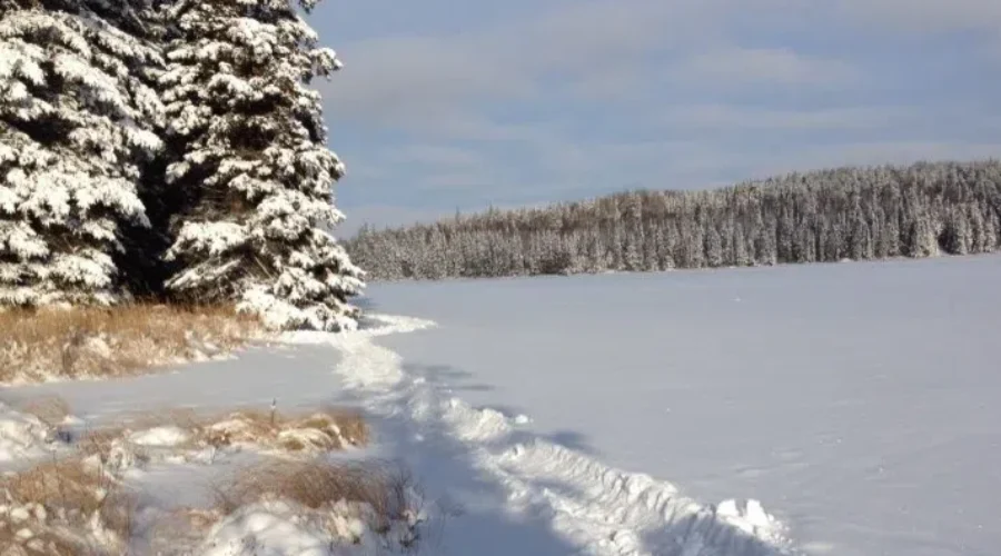 February colder and snowier than normal