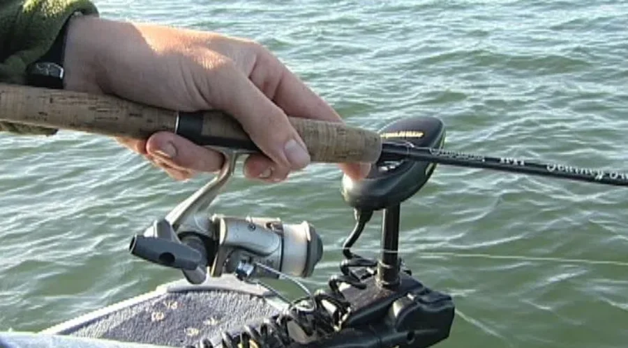 Border fishing issue draws interest from Natural Resources minister